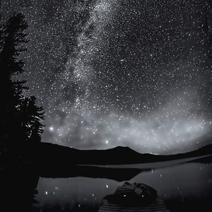 Meet your Posher, Bronwyn